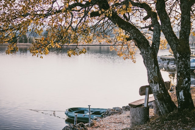 The bench facing the lake