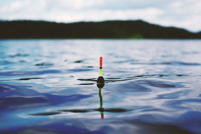 A fishing pole with a green and red flag submerged in water.